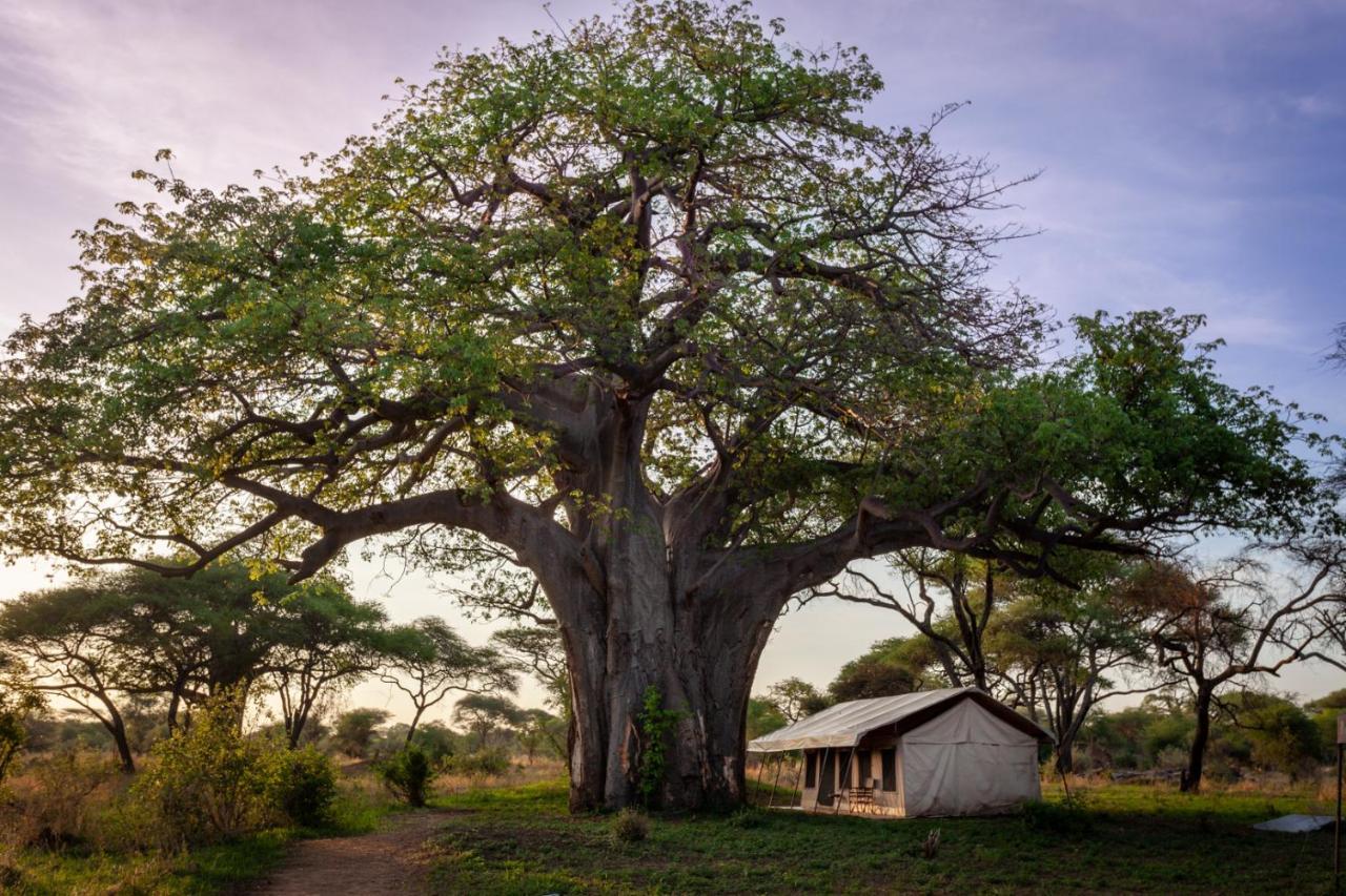 Baobab Tented Camp Kwa Kuchinia Eksteriør bilde