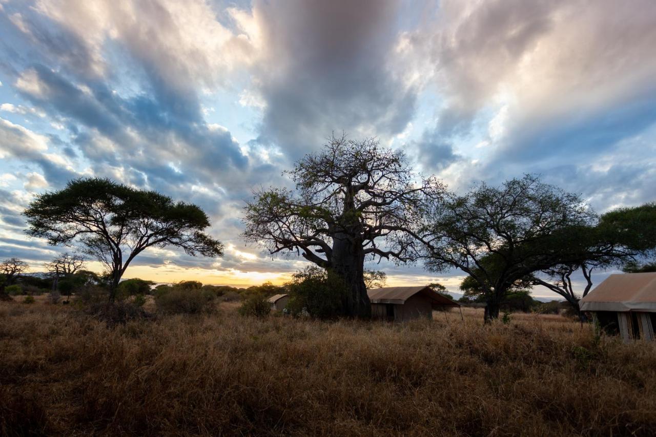 Baobab Tented Camp Kwa Kuchinia Eksteriør bilde
