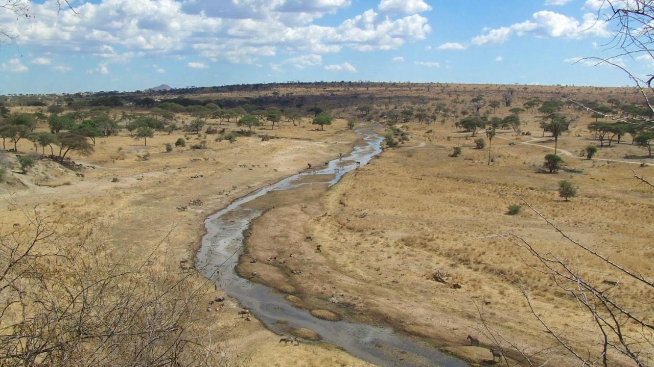 Baobab Tented Camp Kwa Kuchinia Eksteriør bilde